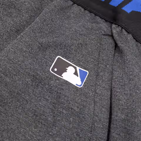 Detroit Tigers 2024 City Connect MLB Authentic Nike Dri-FIT Shorts view 4