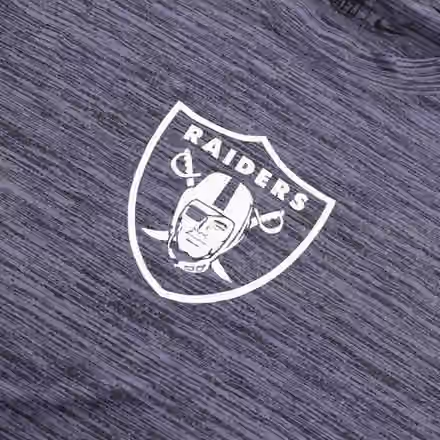 Las Vegas Raiders 2025 NFL Sideline Nike Velocity Performance T-Shirt Gray view 4