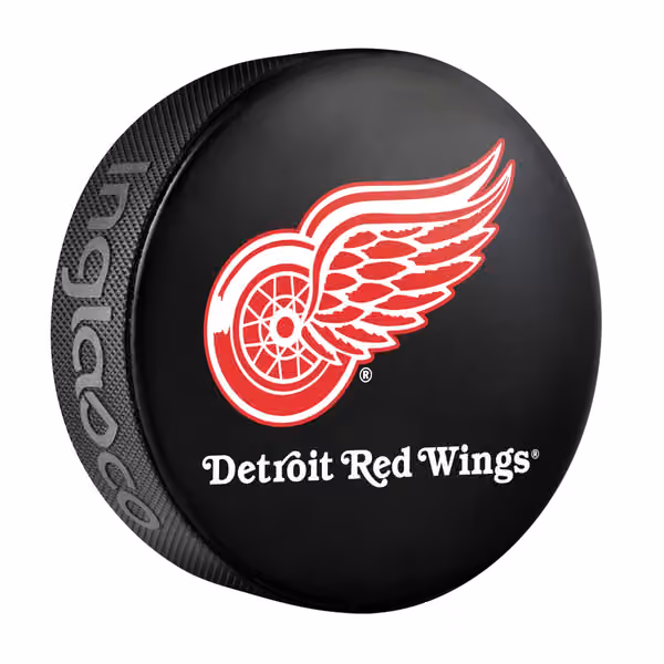 Detroit Red Wings Logo Souvenir Collector NHL Puck view 1