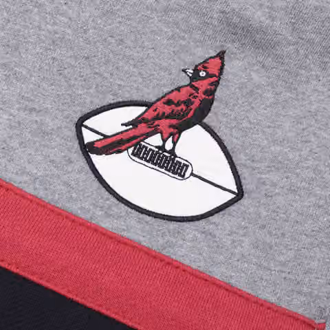 Arizona Cardinals Head Coach Mitchell & Ness NFL Throwback Football Hoodie view 4