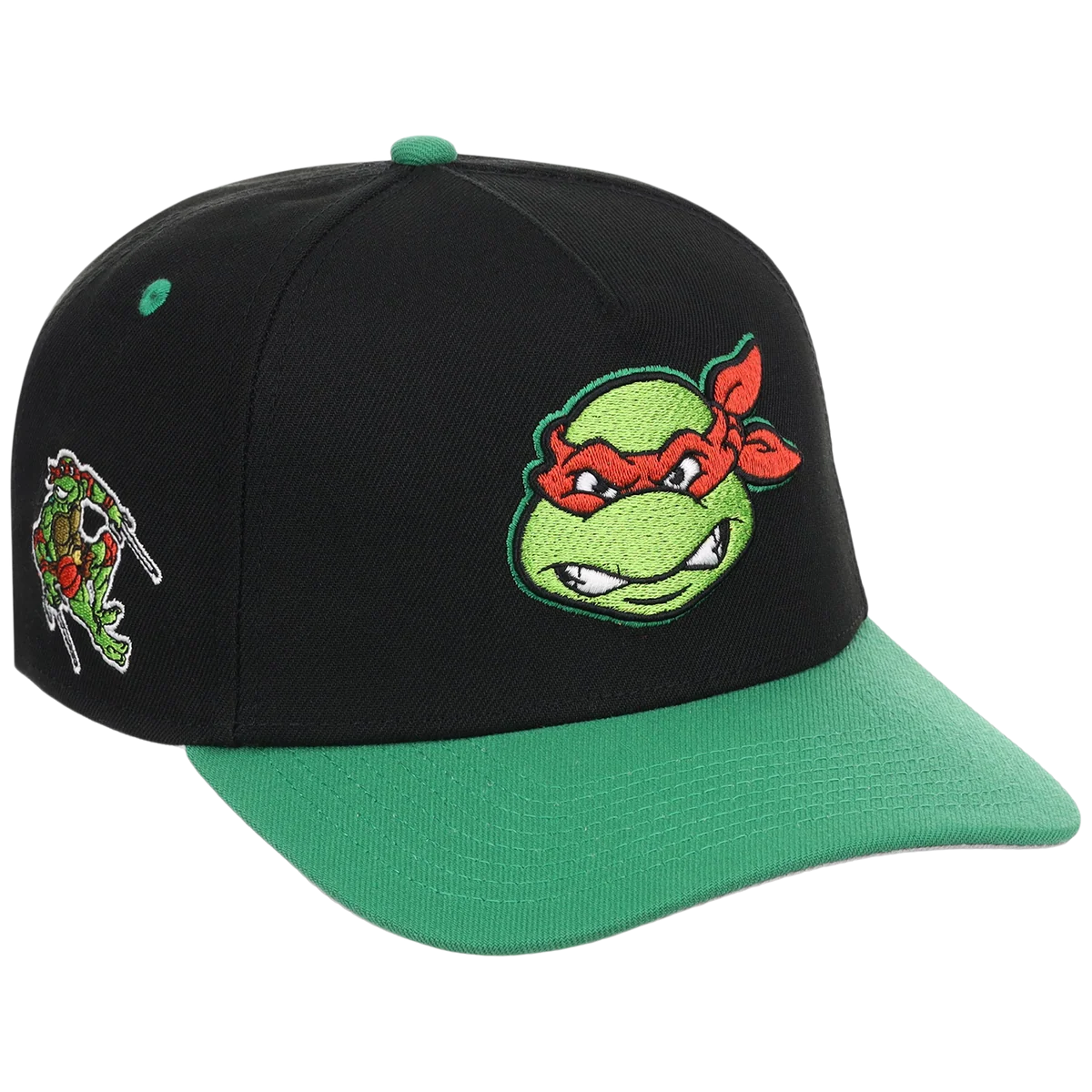 SATURDAY MORNING CARTOONS: TEENAGE MUTANT NINJA TURTLES - Raphael Turtles A-Frame front view