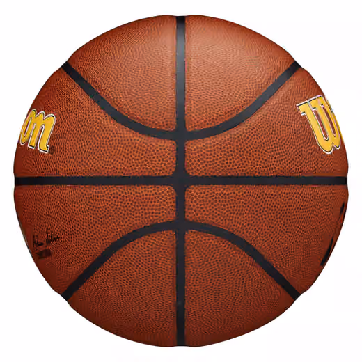 Indiana Pacers Wilson Team Alliance Basketball (Size 7) view 5
