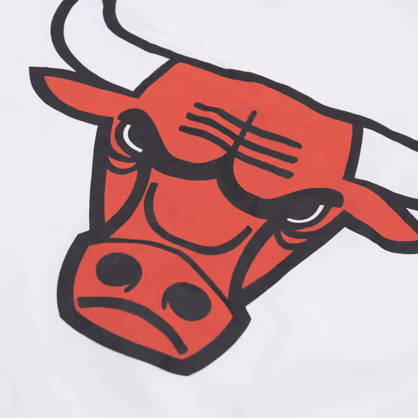 Chicago Bulls 1992-1993 Mitchell & Ness Authentic Warm Up NBA Jacket White view 6