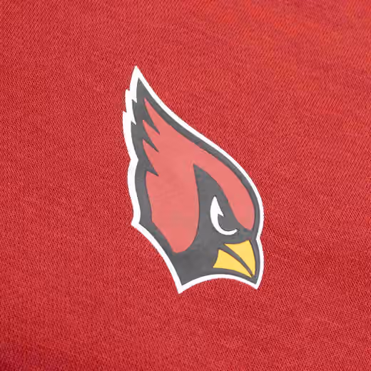 Arizona Cardinals 2024 NFL Sideline Nike Club Sweat Pants view 4