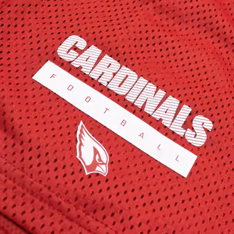 Arizona Cardinals 2024 NFL Sideline Mesh Nike Dri-FIT Shorts Red view 3