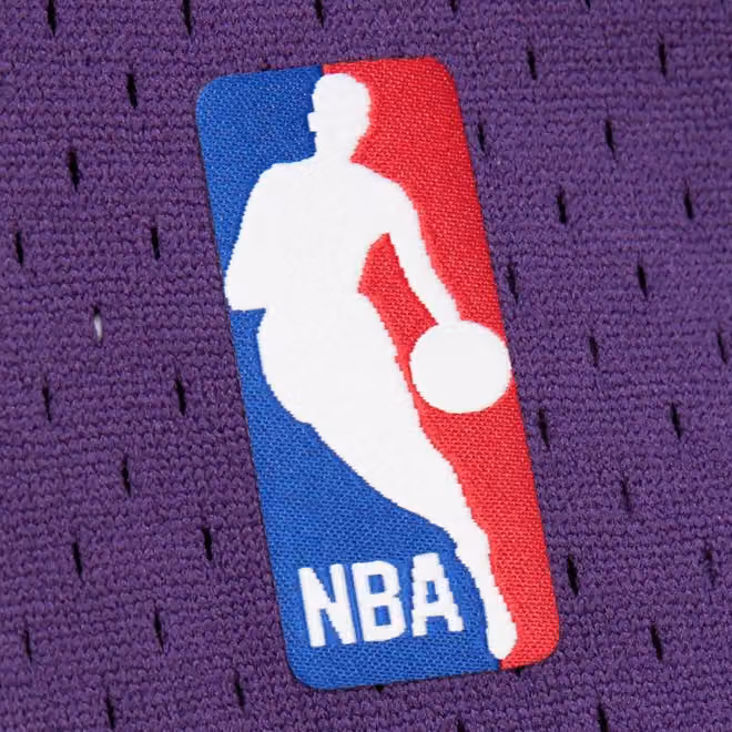 Pau Gasol #16 Los Angeles Lakers 2009-10 Mitchell & Ness Swingman NBA Jersey Purple view 5