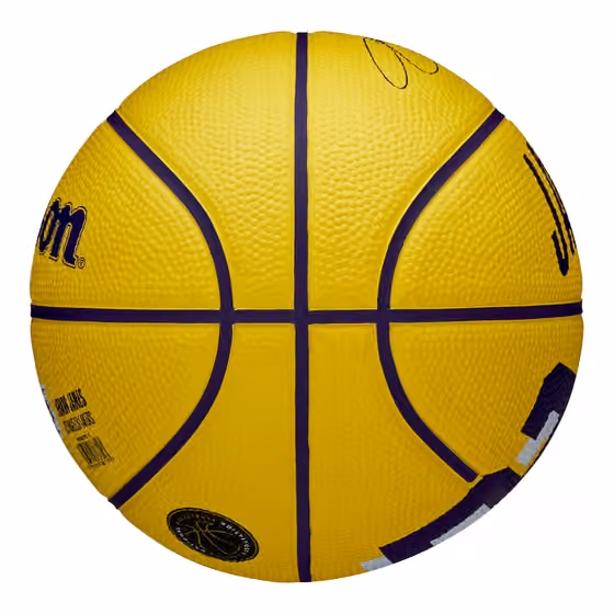 LeBron James #23 Los Angeles Lakers Wilson NBA Mini Basketball (Size 3) view 6