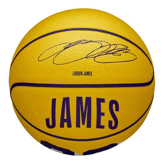 LeBron James #23 Los Angeles Lakers Wilson NBA Mini Basketball (Size 3) view 2
