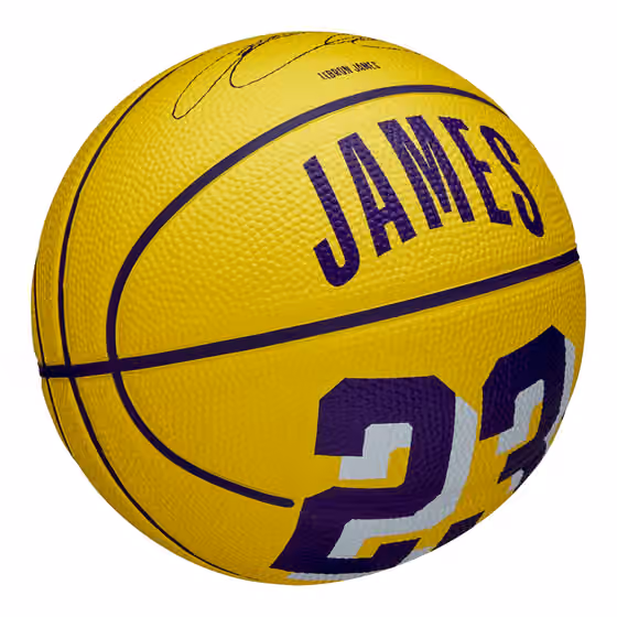 LeBron James #23 Los Angeles Lakers Wilson NBA Mini Basketball (Size 3) view 4