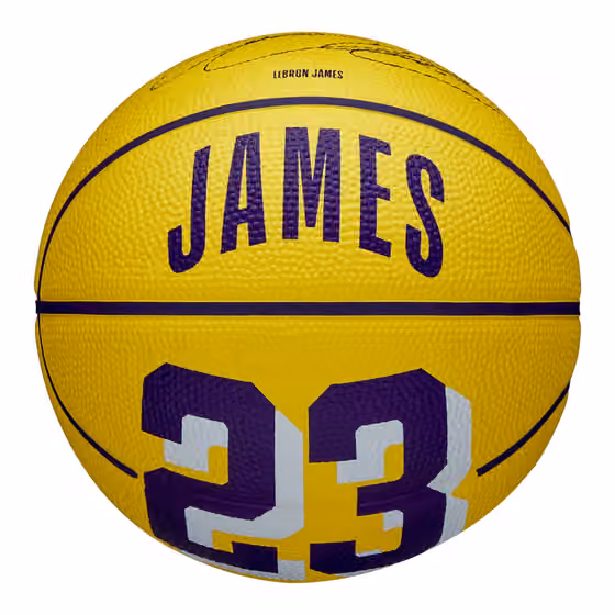 LeBron James #23 Los Angeles Lakers Wilson NBA Mini Basketball (Size 3) view 1