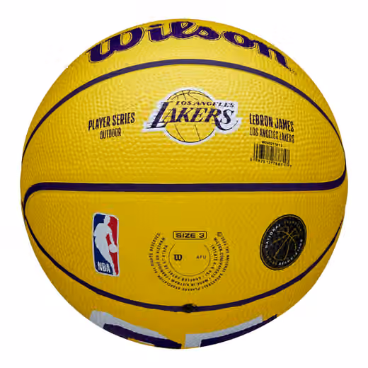LeBron James #23 Los Angeles Lakers Wilson NBA Mini Basketball (Size 3) view 3
