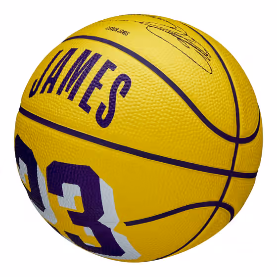 LeBron James #23 Los Angeles Lakers Wilson NBA Mini Basketball (Size 3) view 5