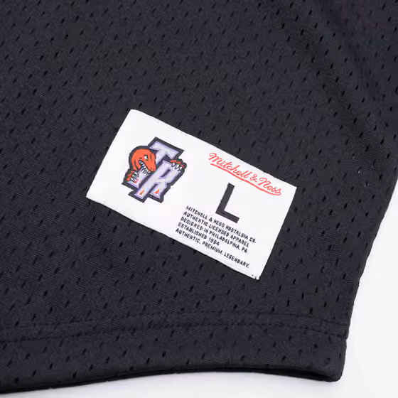 Toronto Raptors Mitchell & Ness Camo Reflective NBA Crew Mesh Jersey view 5