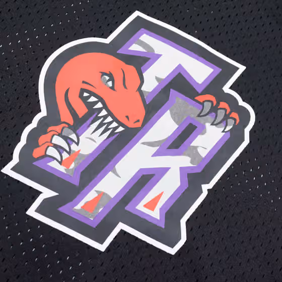 Toronto Raptors Mitchell & Ness Camo Reflective NBA Crew Mesh Jersey view 3