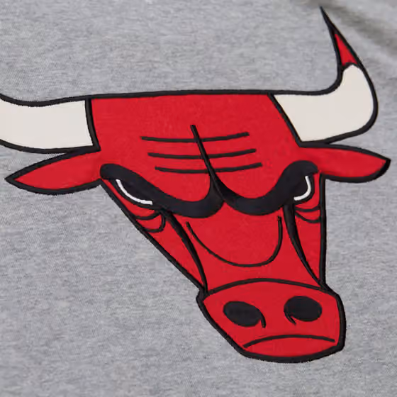 Chicago Bulls Mitchell & Ness Heritage Fleece NBA Hoodie Gray view 3