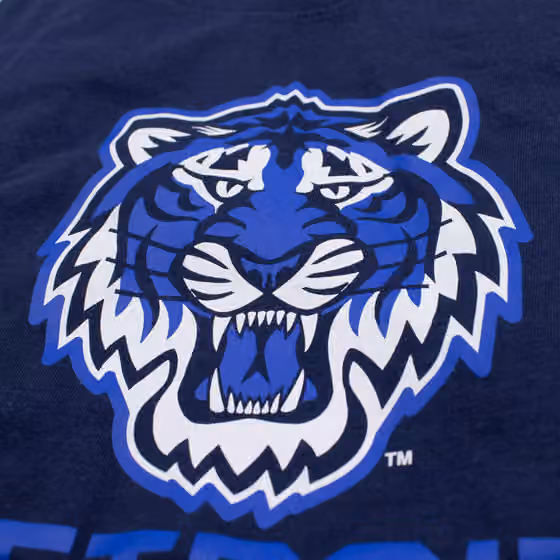 Detroit Tigers City Connect Secondary MLB T-Shirt Navy view 3