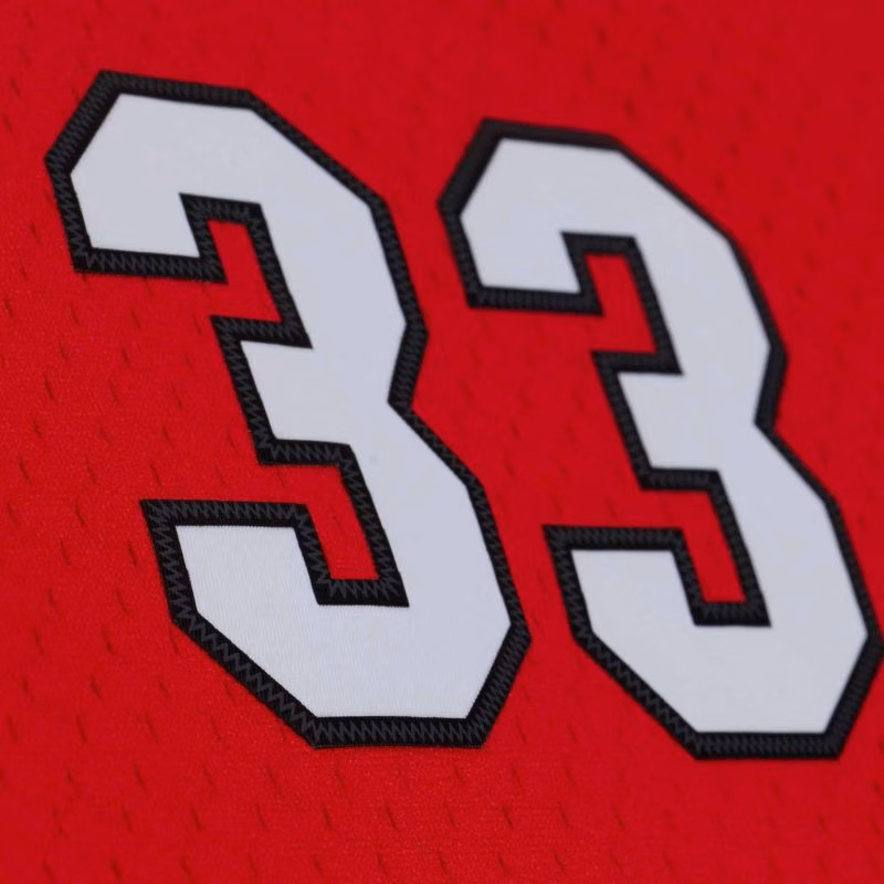 Alonzo Mourning #33 Miami Heat 2005-06 Swingman NBA Jersey Red view 5