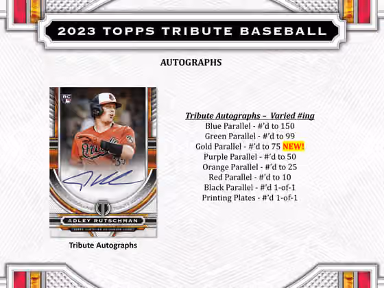 2023 Topps Tribute Baseball Hobby Box view 4