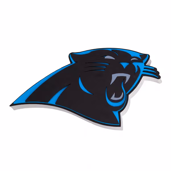 Carolina Panthers NFL 3D Foam Sign view 1