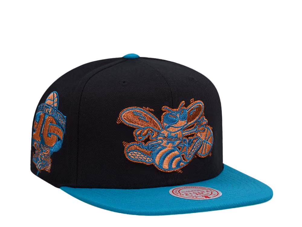 Mitchell & Ness Charlotte Hornets 10th Anniversary Make Cents Black Two Tone Hardwood Classic Snapback Hat front