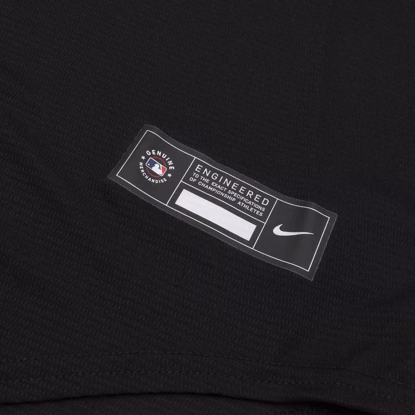 Chicago White Sox Nike MLB Alternate Jersey Black view 4