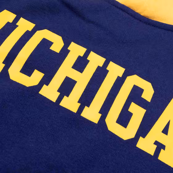 Michigan Wolverines Colorblock Badge NCAA Hoodie view 4