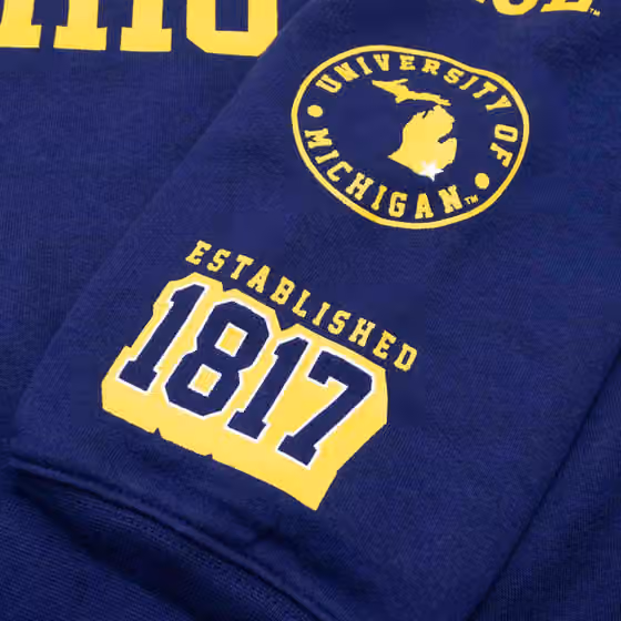 Michigan Wolverines Colorblock Badge NCAA Hoodie view 5