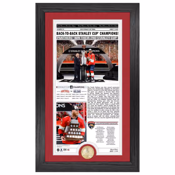 Florida Panthers 2025 Stanley Cup Champions Bronze Coin Framed Newspaper Photo view 1