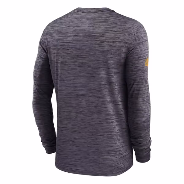 Pittsburgh Steelers 2025 NFL Sideline Nike Velocity Performance Long Sleeve T-Shirt Gray view 2