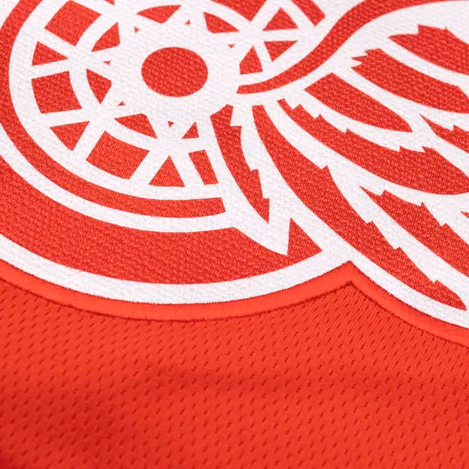 Moritz Seider #53 Detroit Red Wings Breakaway NHL Jersey Red view 6
