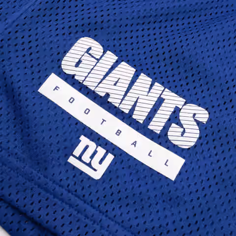New York Giants 2024 NFL Sideline Mesh Nike Dri-FIT Shorts Blue view 3