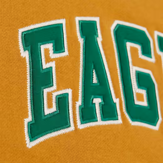 Philadelphia Eagles Mitchell & Ness NFL Dusted Crew Pullover view 4
