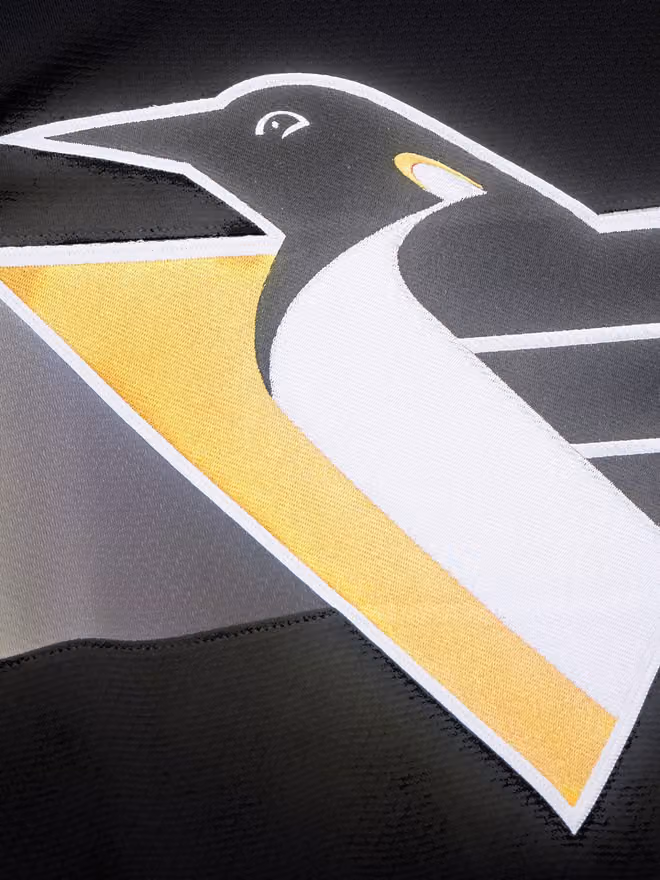 Mario Lemieux #66 Pittsburgh Penguins 1996-97 Premium Power Play NHL Jersey Black view 6
