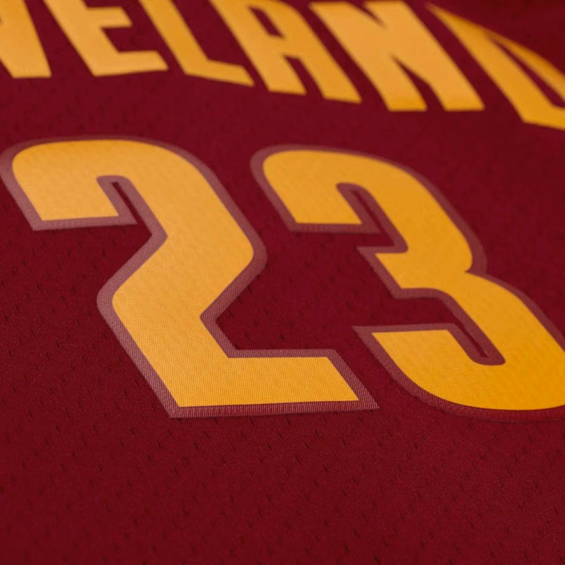 LeBron James #23 Cleveland Cavaliers 2015-16 Swingman NBA Jersey Red view 4