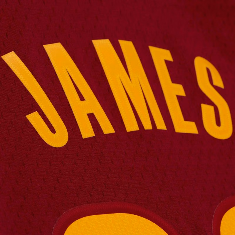 LeBron James #23 Cleveland Cavaliers 2015-16 Swingman NBA Jersey Red view 5